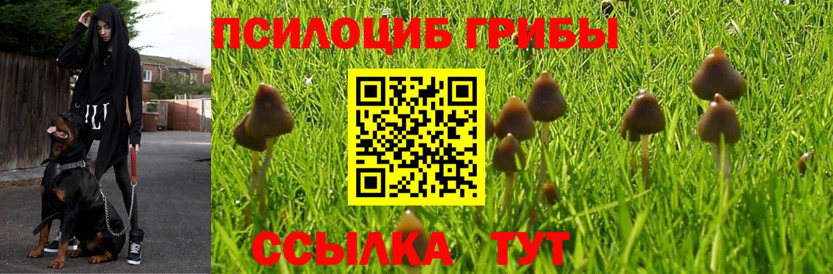 Галлюциногенные грибы мицелий Артём